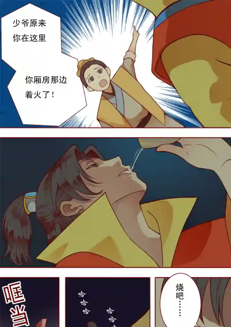 十两花芙蓉十二