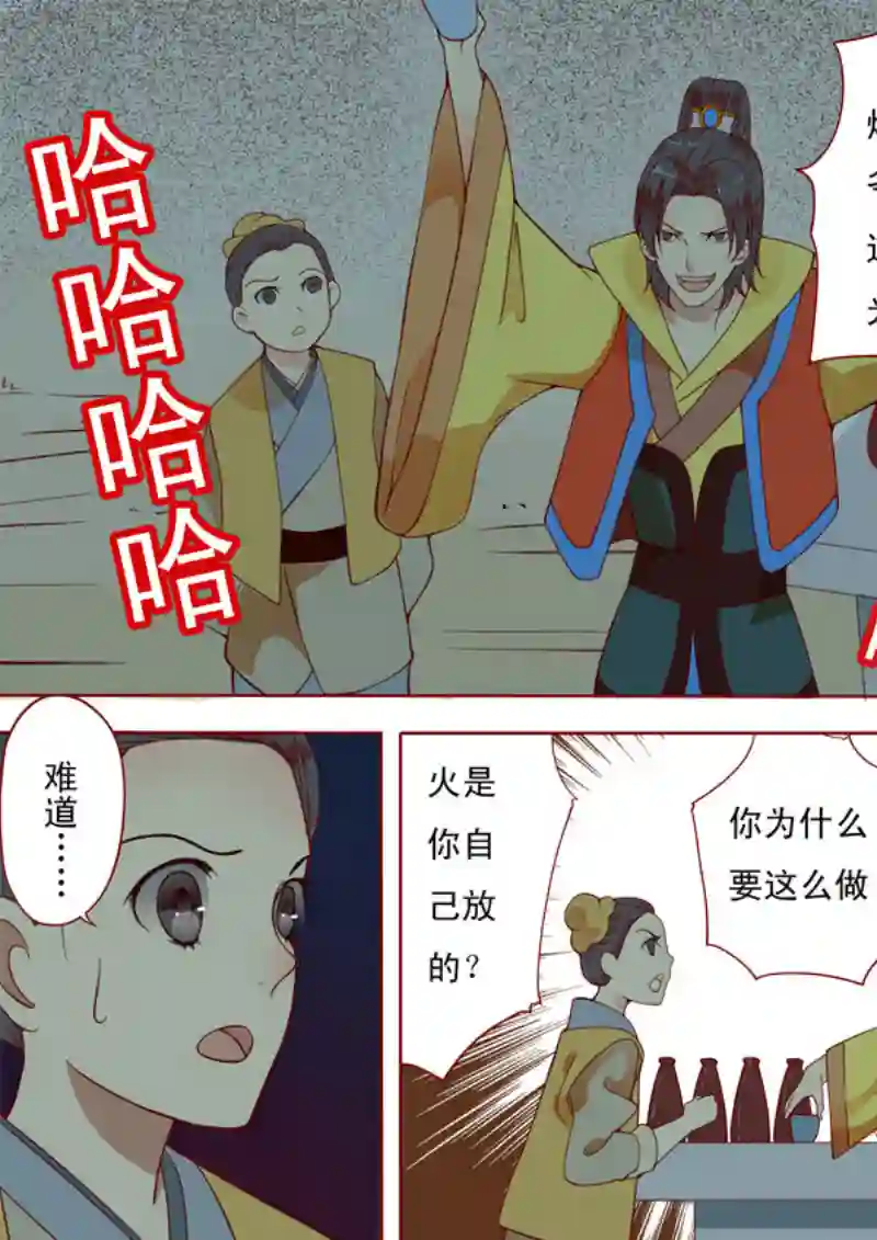 十两花芙蓉十二