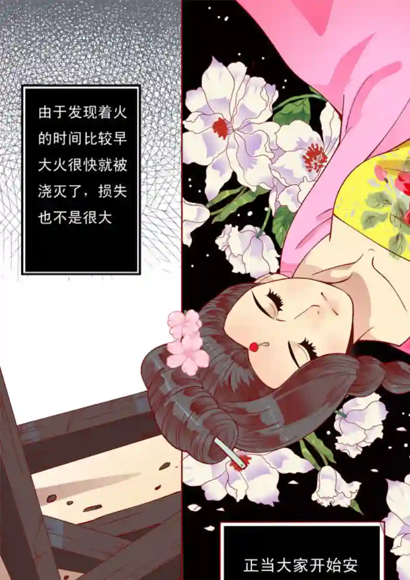 十两花芙蓉十三