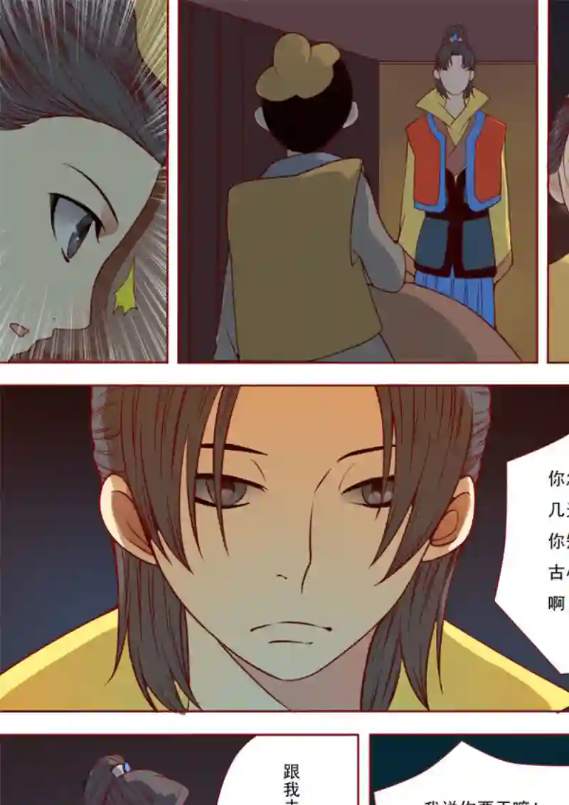 十两花芙蓉十三