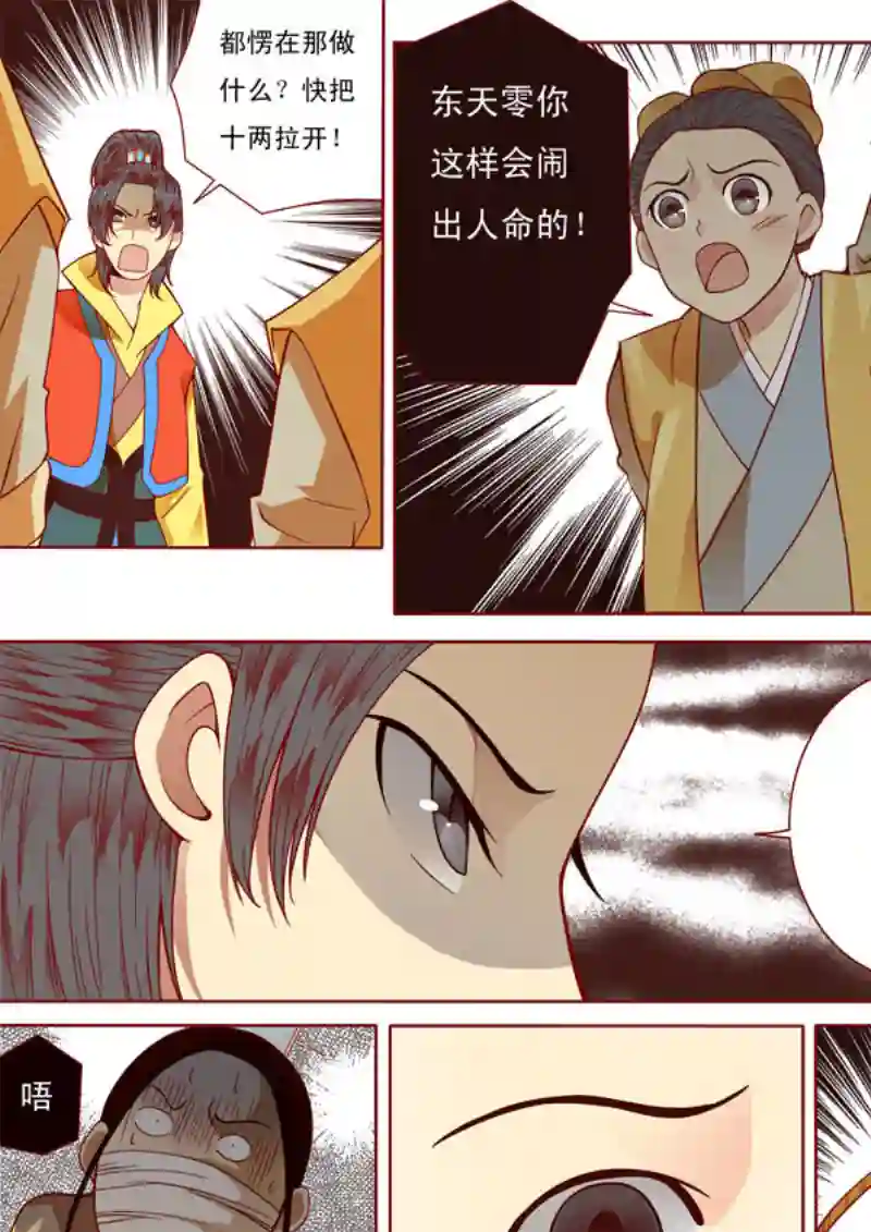 十两花芙蓉十四