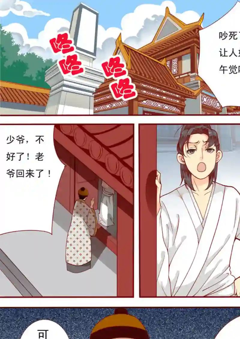 十两花芙蓉十五