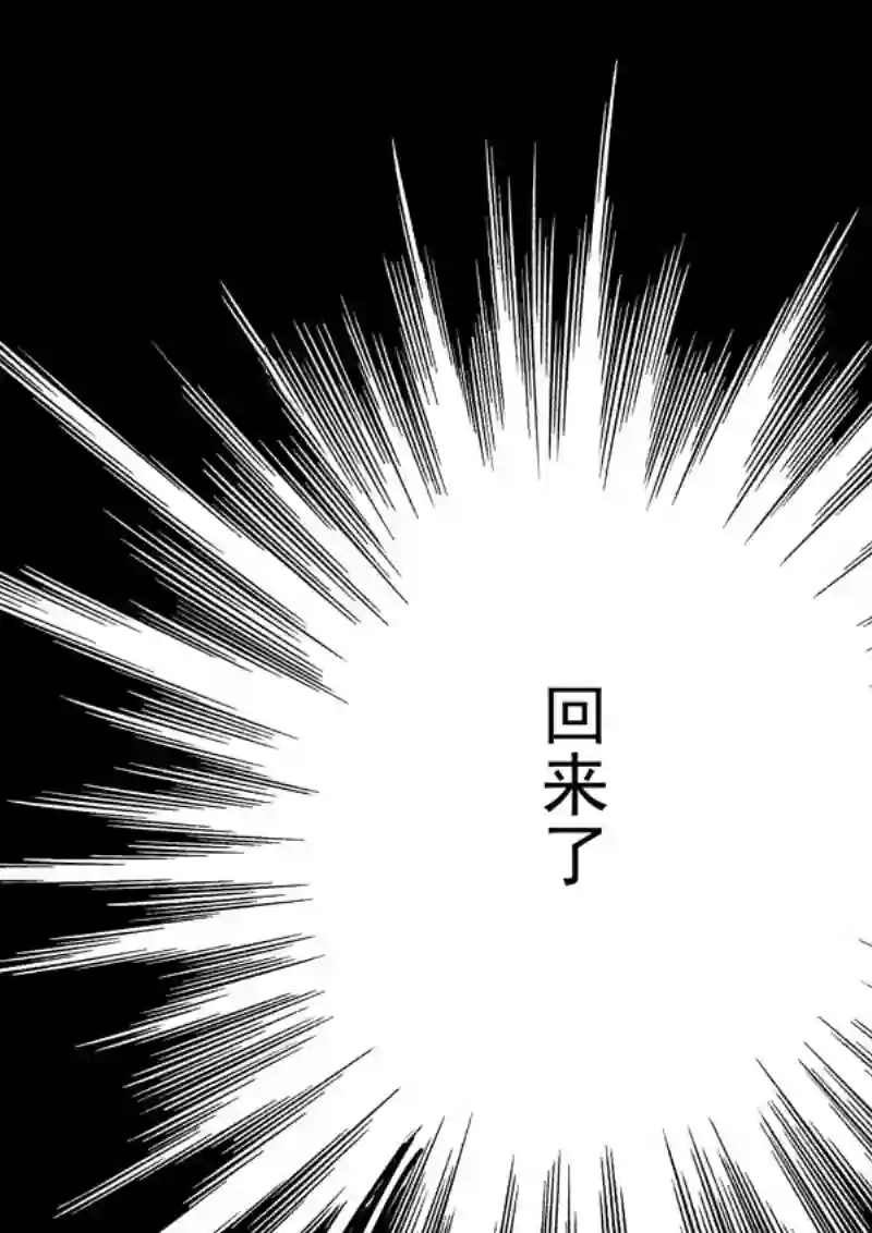 十两花芙蓉十五