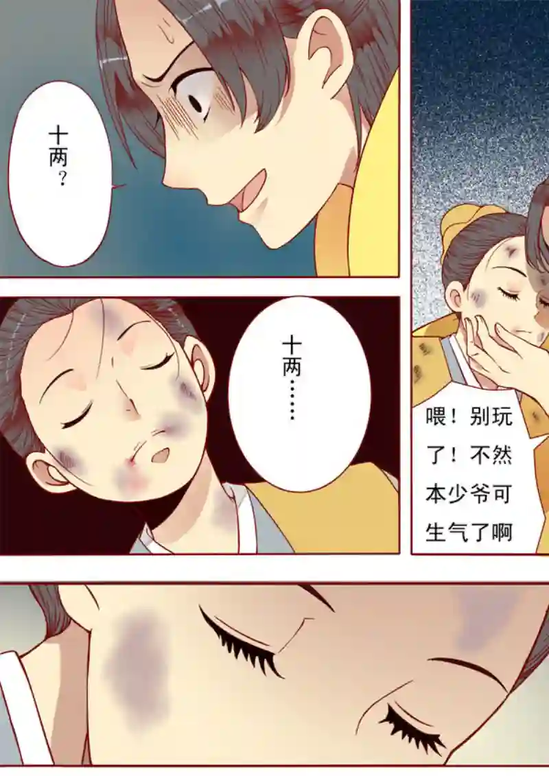 十两花芙蓉十五