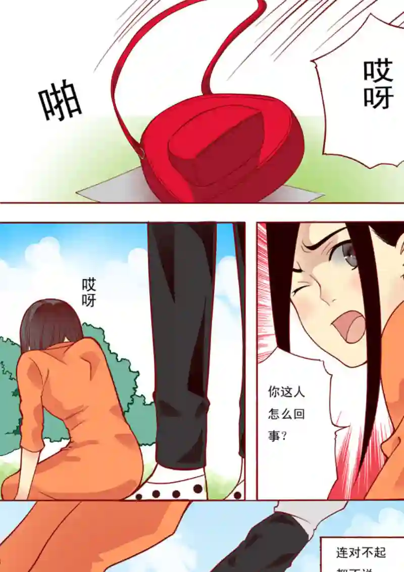十两花芙蓉十五