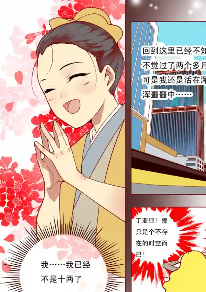 十两花芙蓉十六