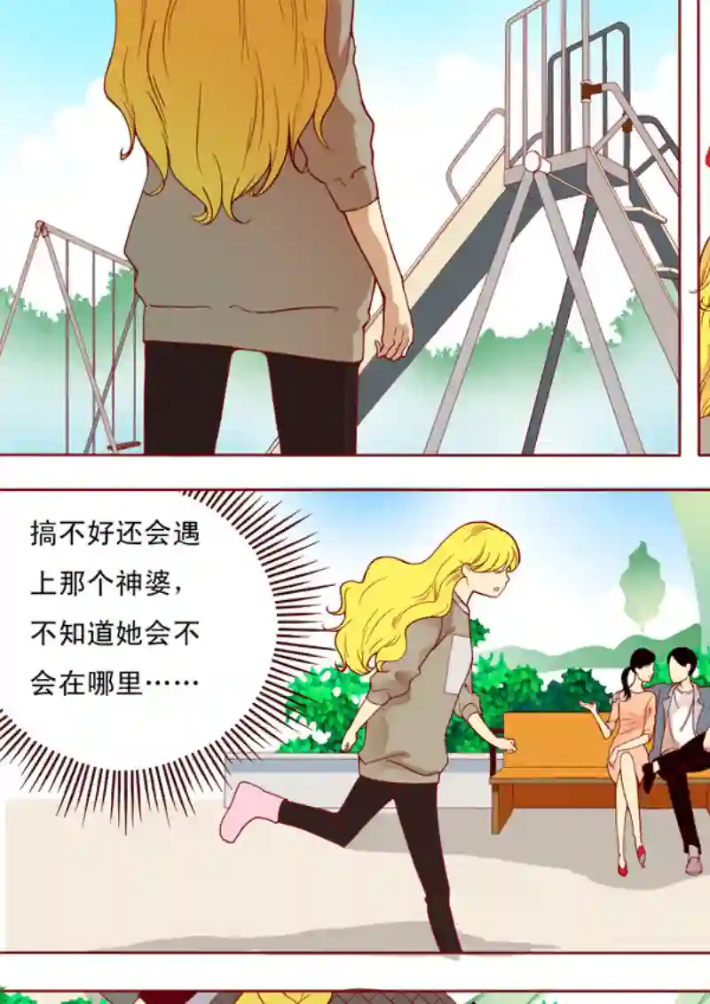 十两花芙蓉十六