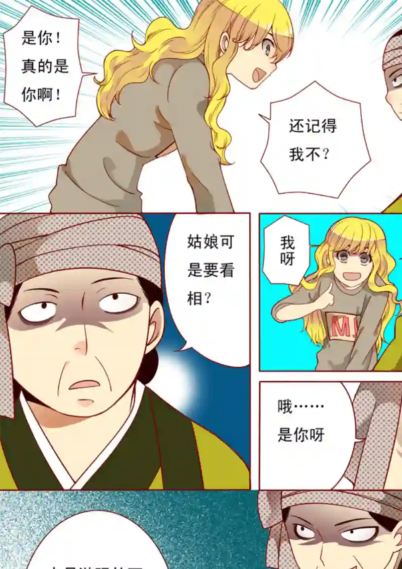 十两花芙蓉十六