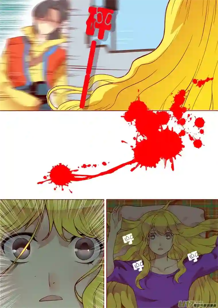 十两花芙蓉十七