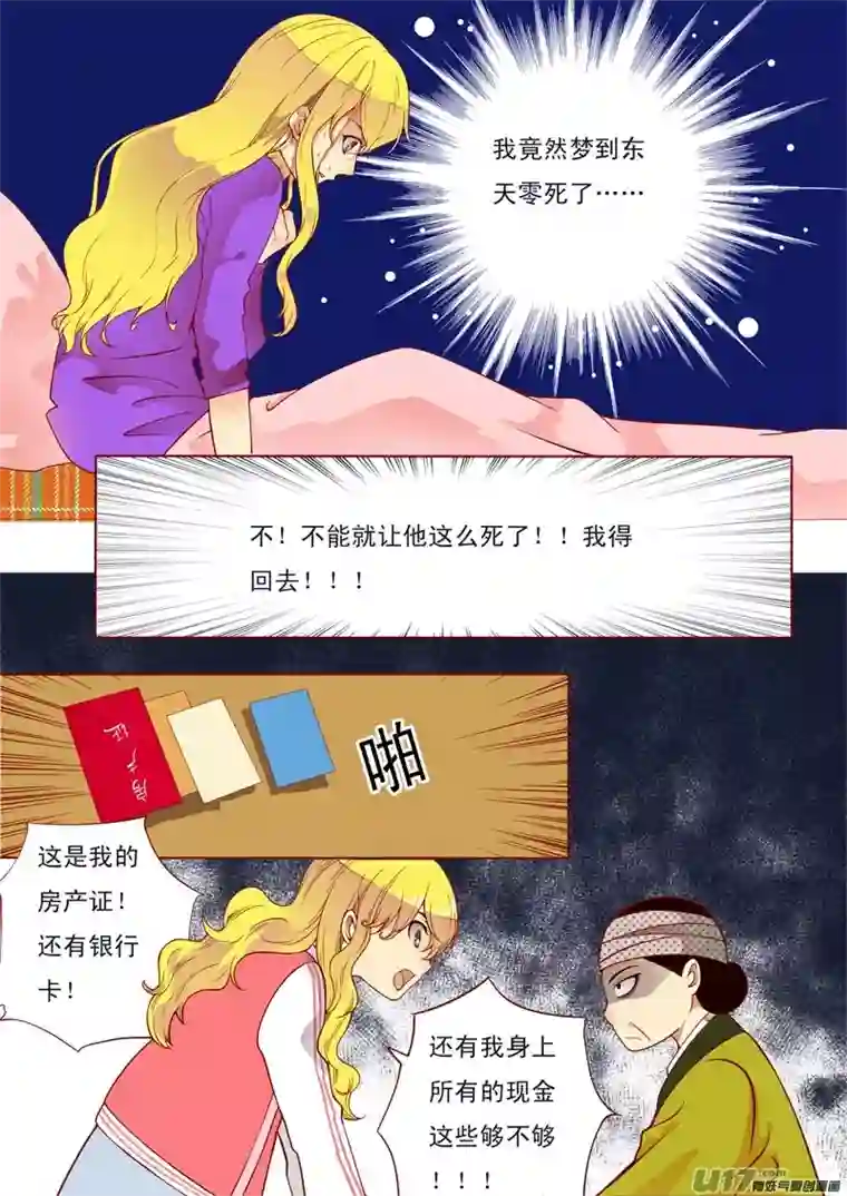 十两花芙蓉十八