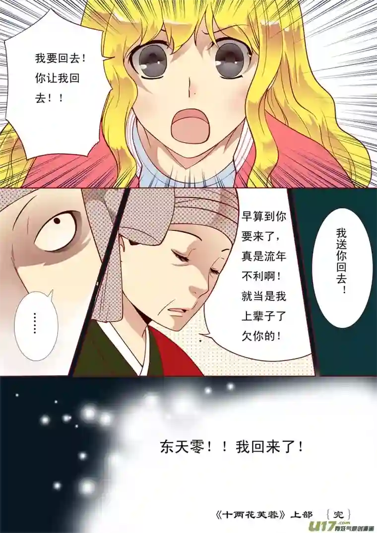 十两花芙蓉十八