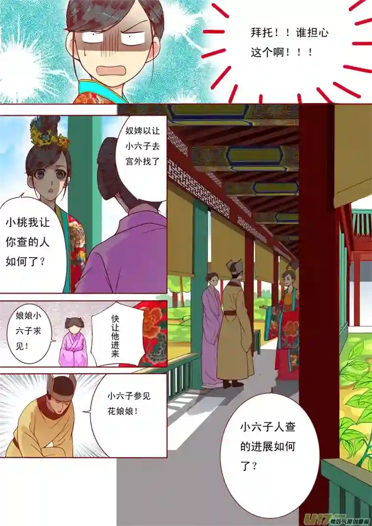 十两花芙蓉十九