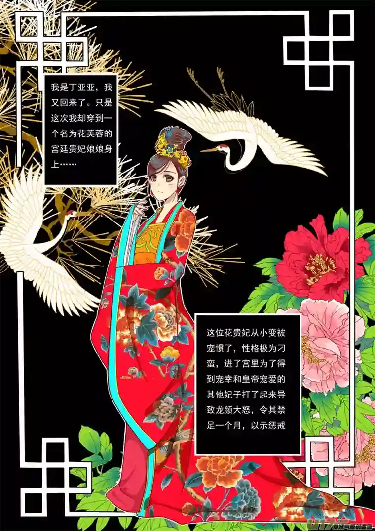 十两花芙蓉二十