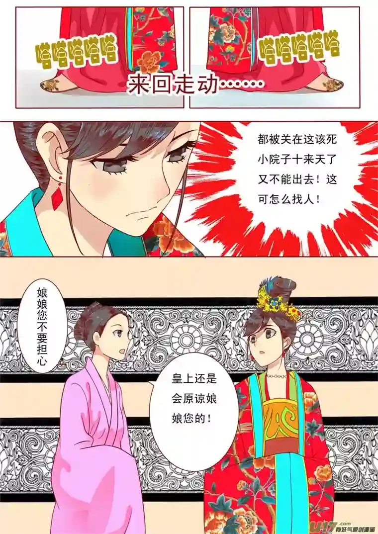 十两花芙蓉二十