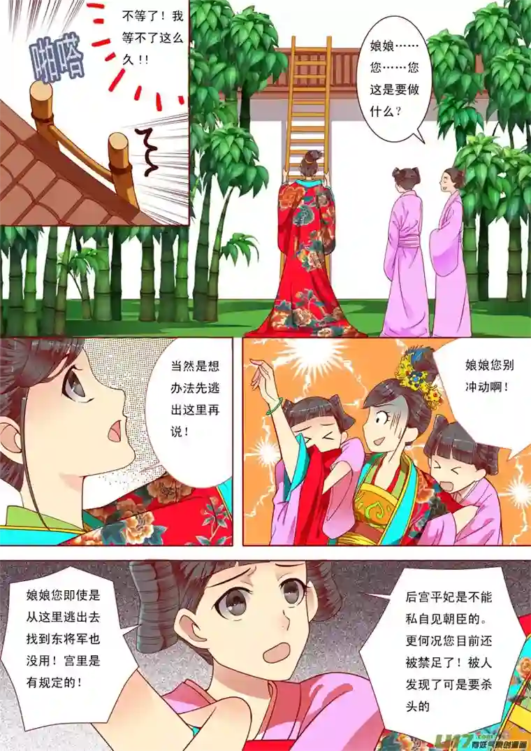 十两花芙蓉二十