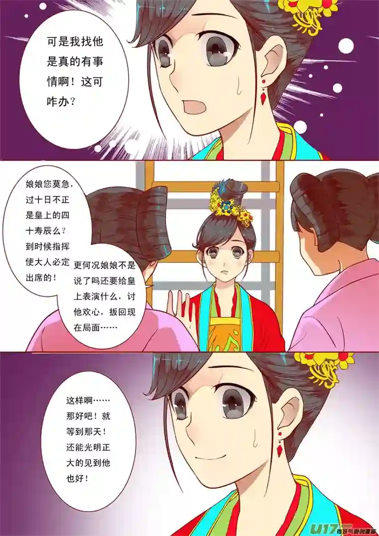 十两花芙蓉二十