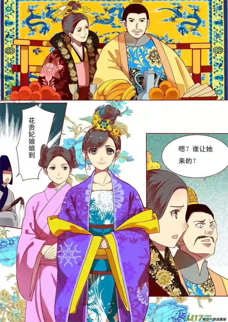 十两花芙蓉二十一