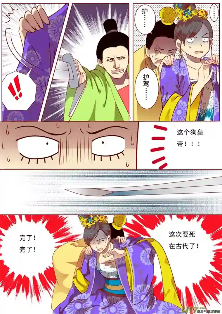 十两花芙蓉二十三