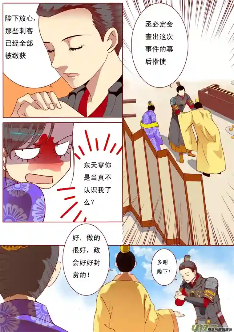 十两花芙蓉二十四