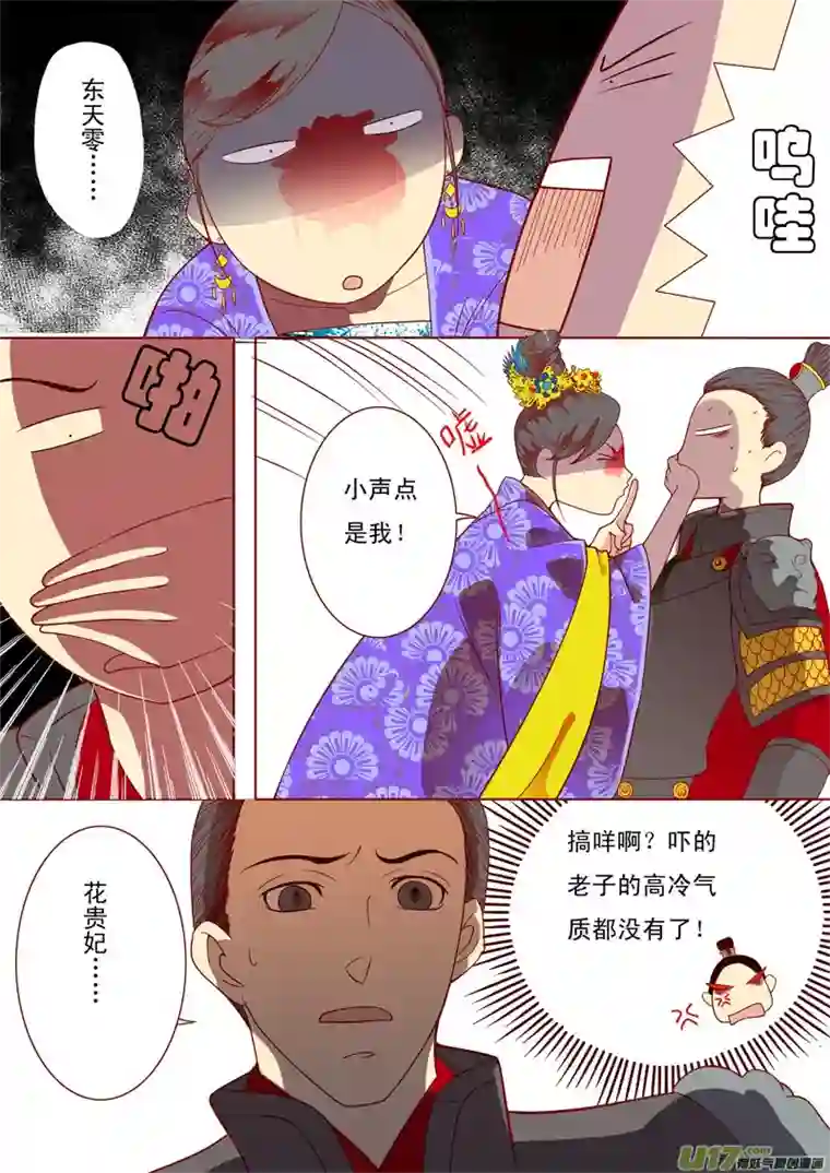 十两花芙蓉二十四