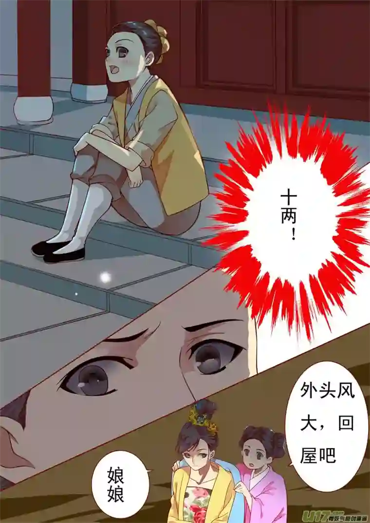 十两花芙蓉二十六