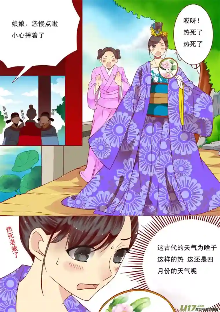 十两花芙蓉二十七