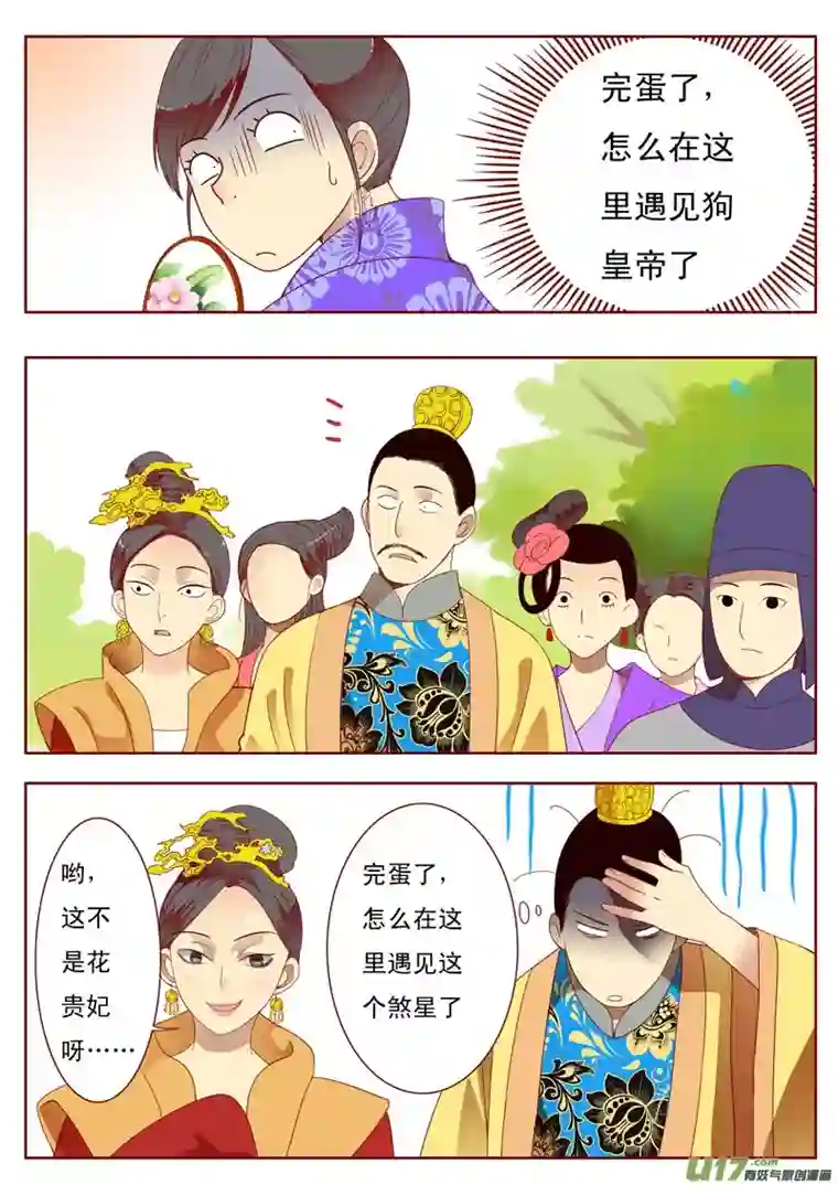 十两花芙蓉二十八