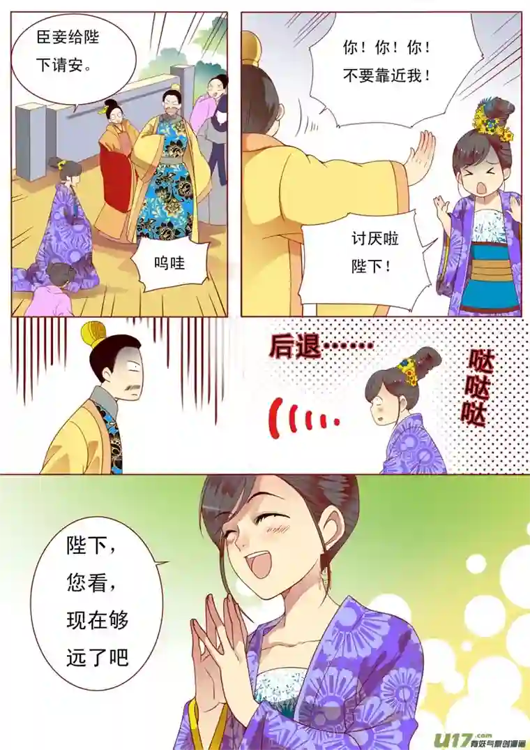 十两花芙蓉二十八