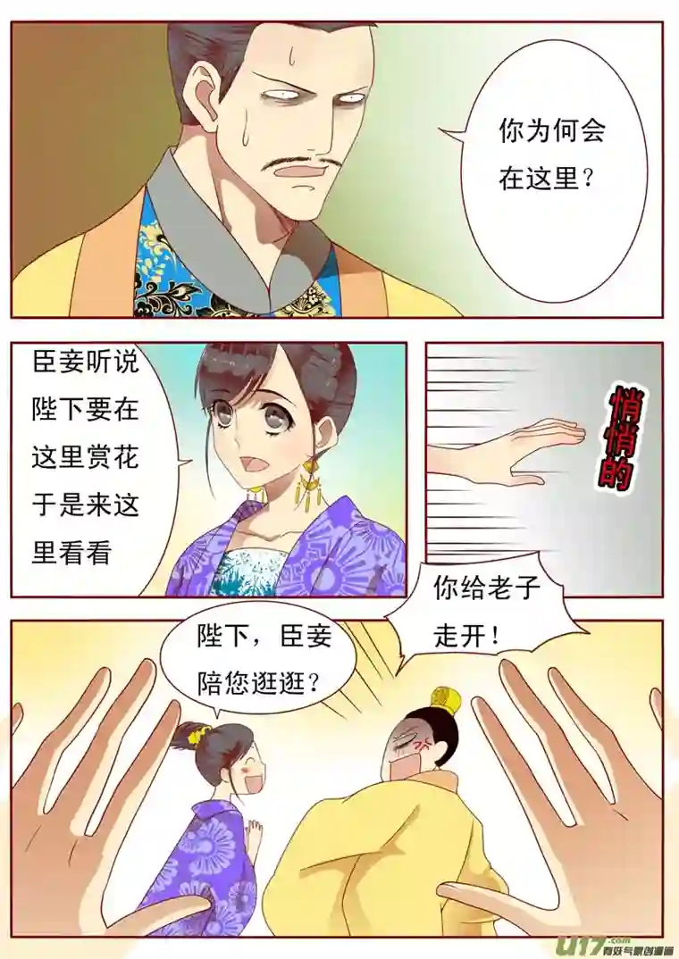 十两花芙蓉二十八