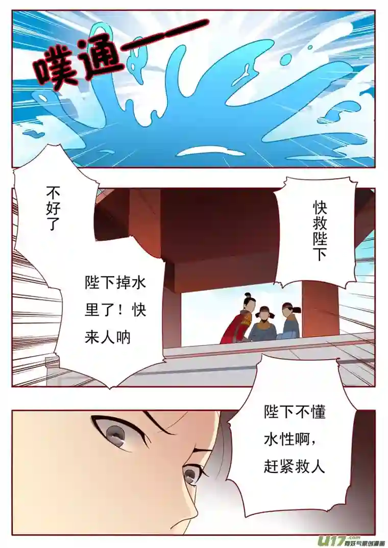 十两花芙蓉二十八