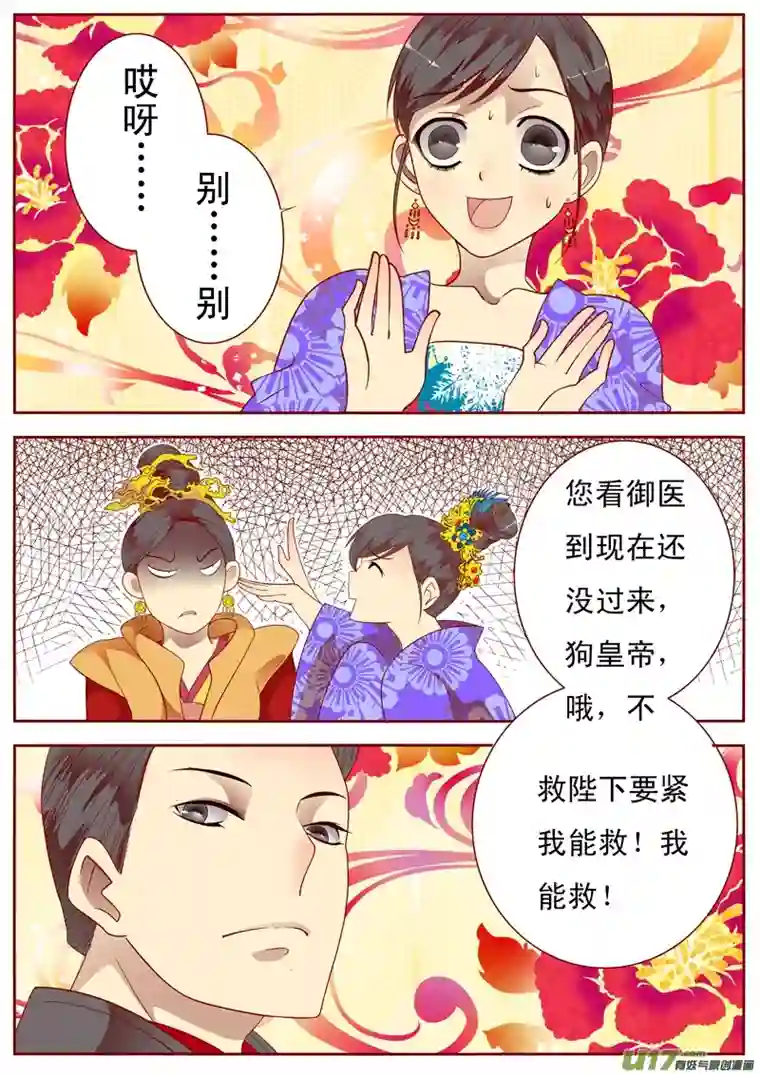 十两花芙蓉三十