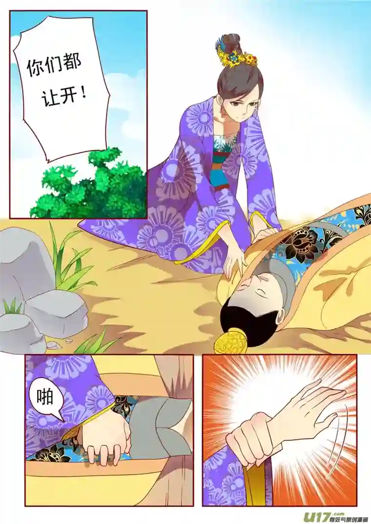十两花芙蓉三十