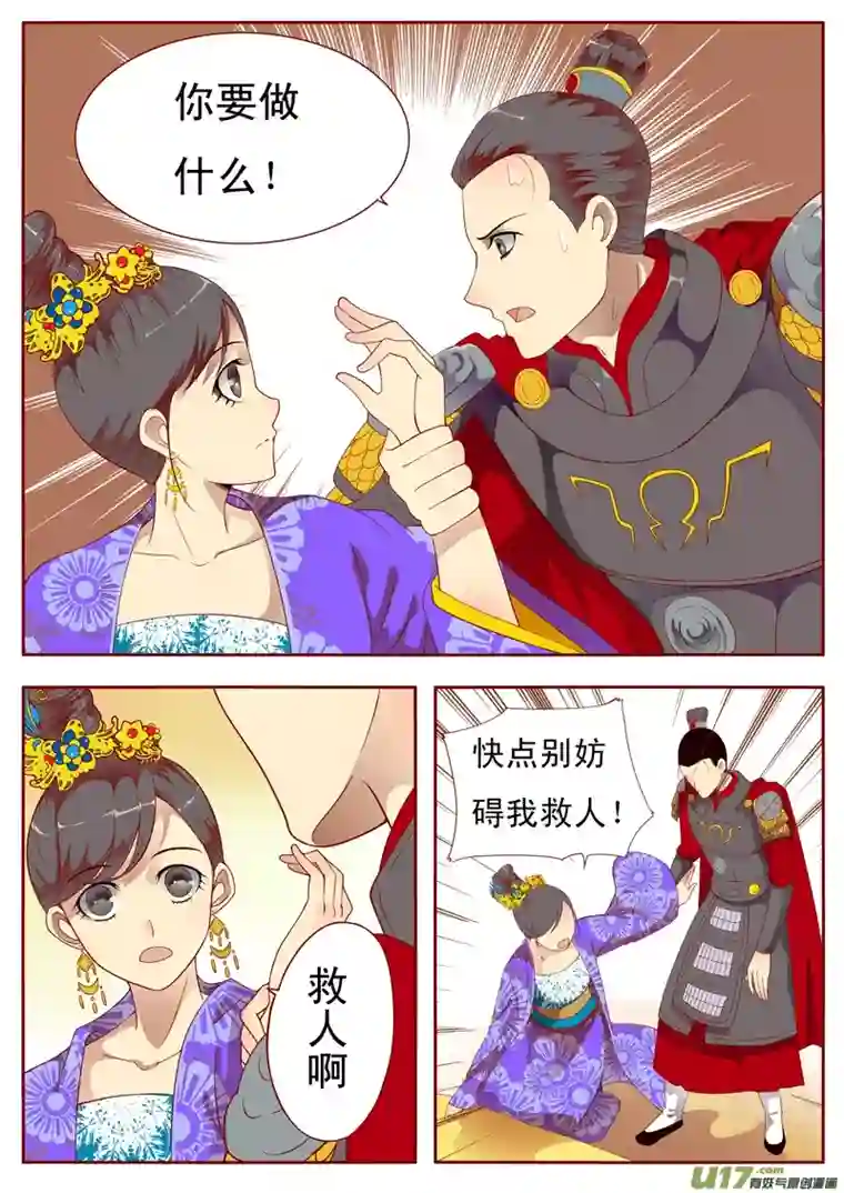 十两花芙蓉三十