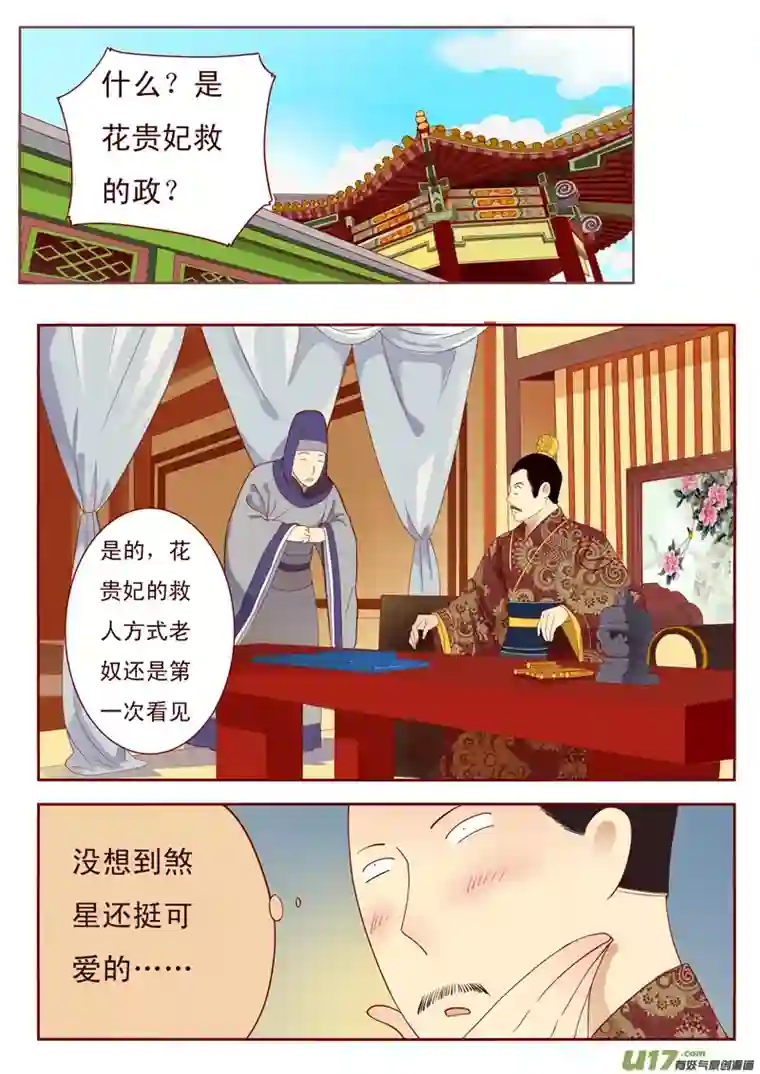 十两花芙蓉三十二