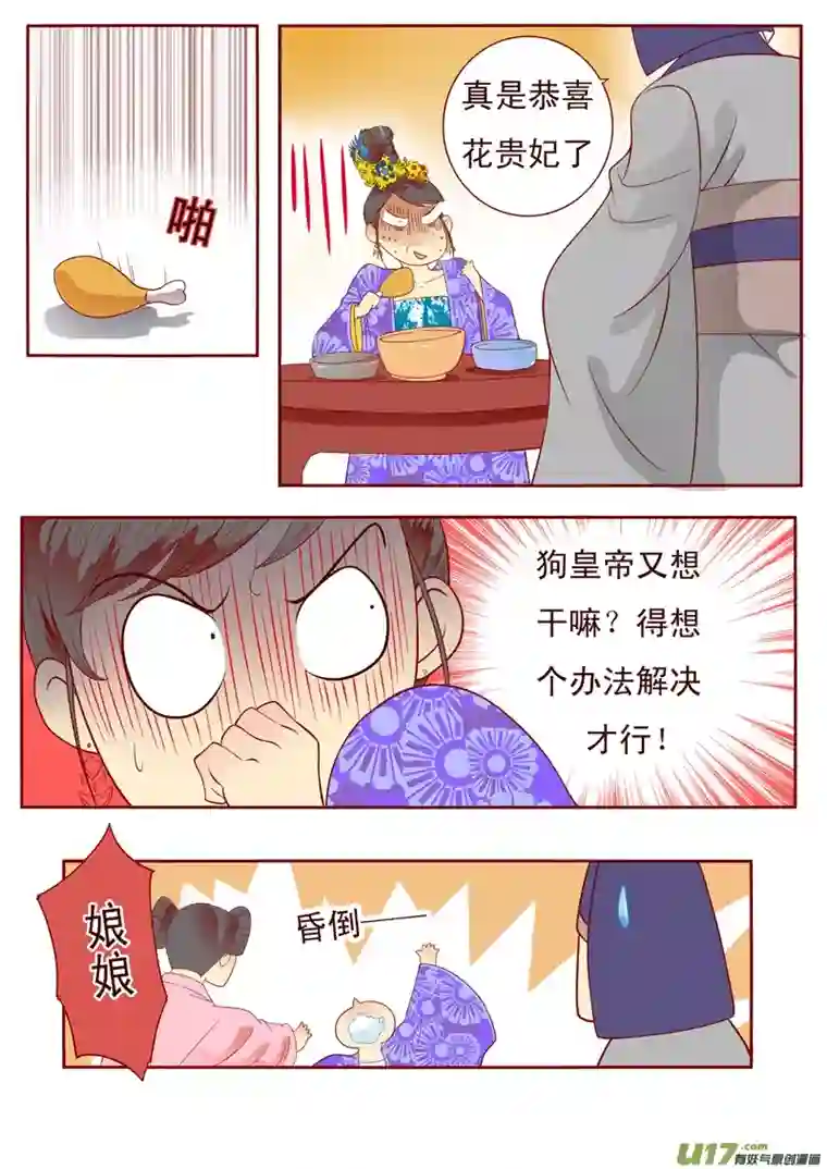十两花芙蓉三十二