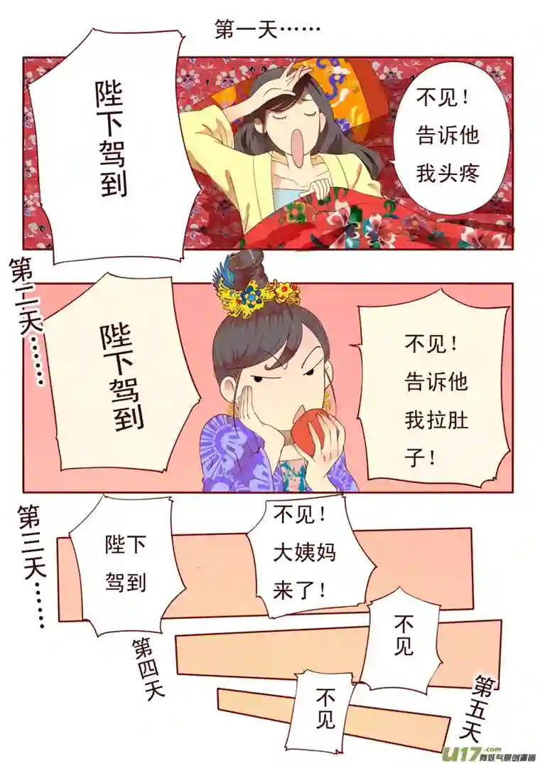 十两花芙蓉三十二
