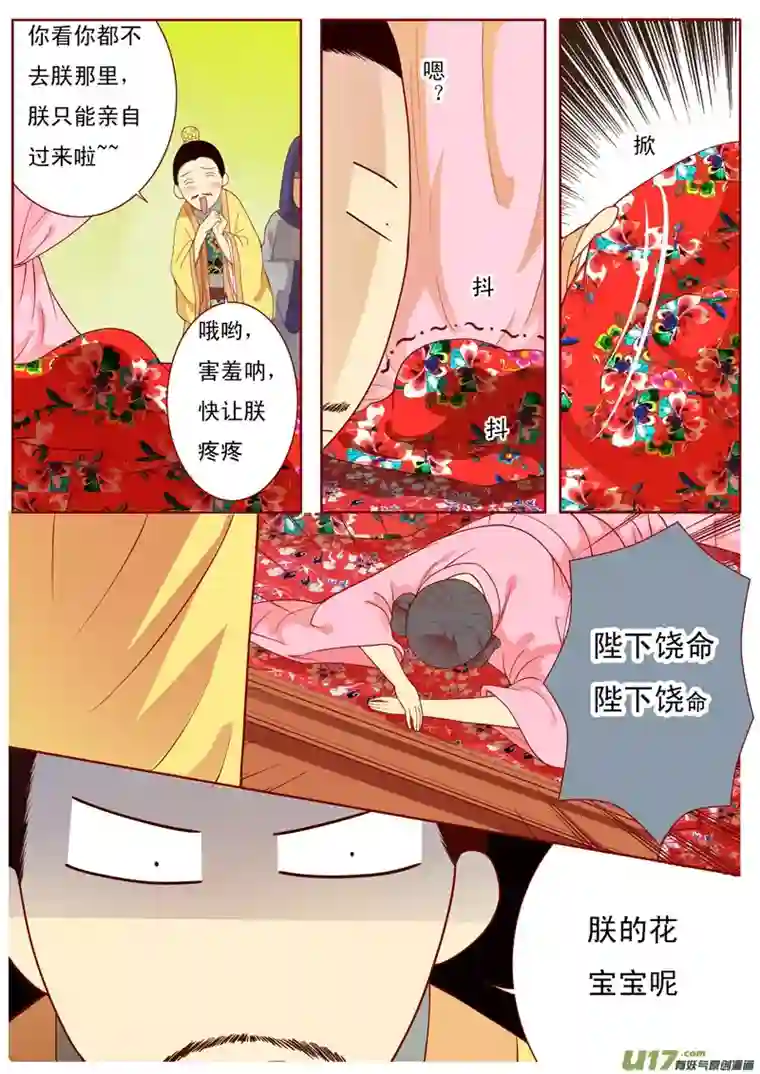 十两花芙蓉三十三