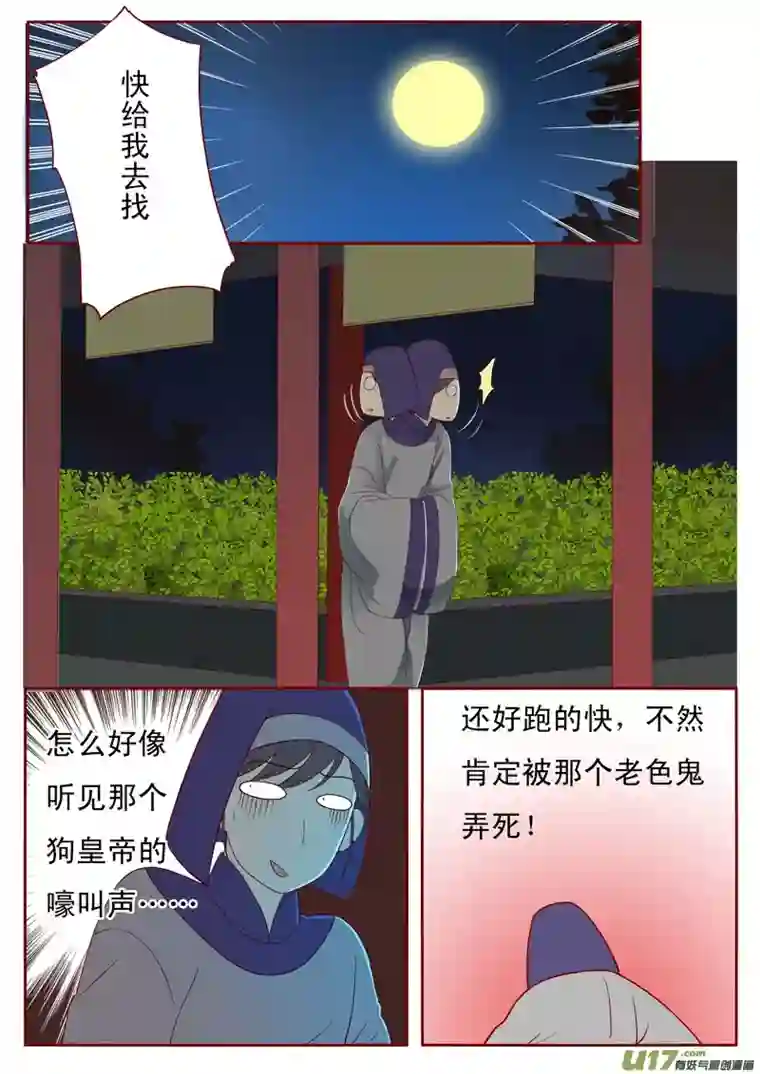 十两花芙蓉三十三