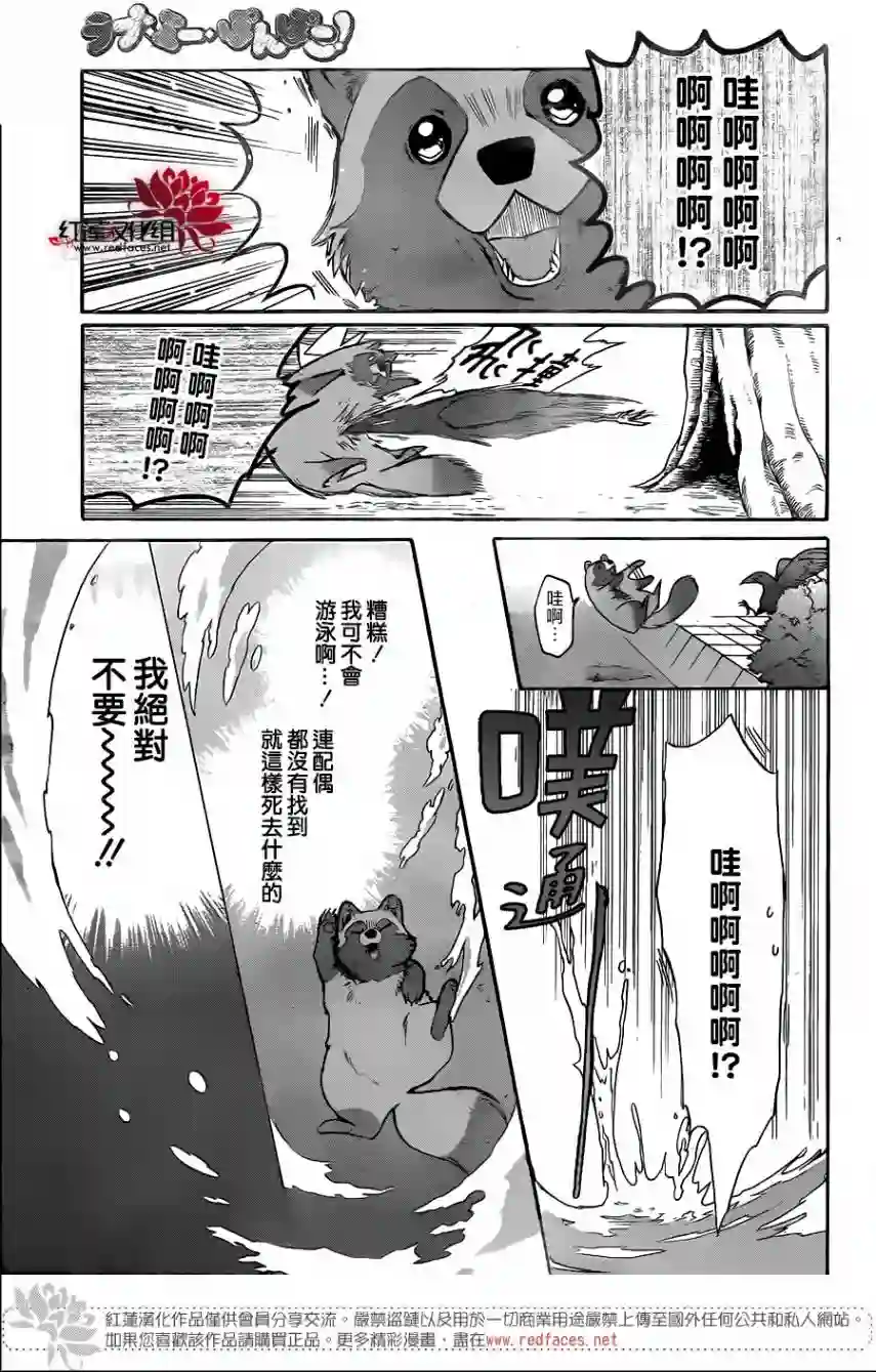 恋爱吧！狸猫第01话