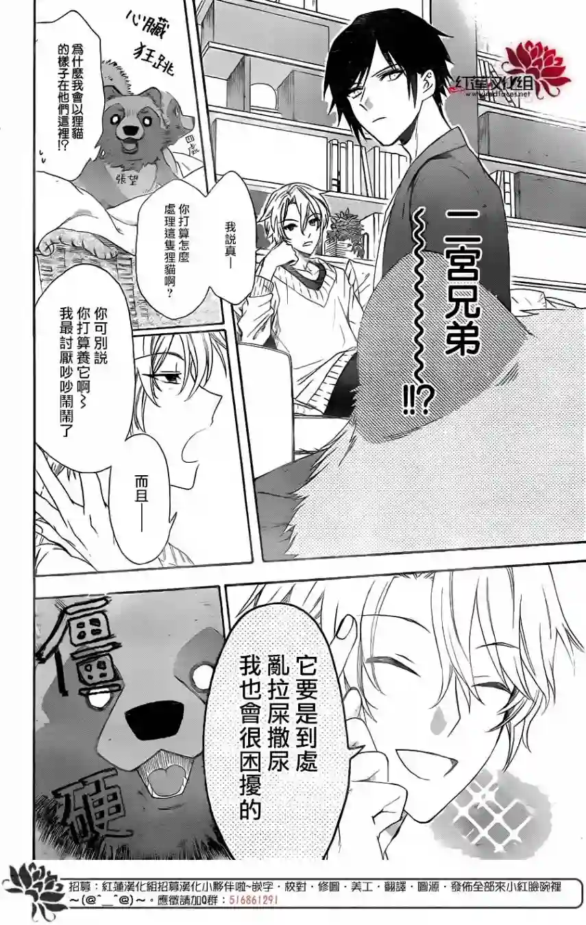 恋爱吧！狸猫第01话