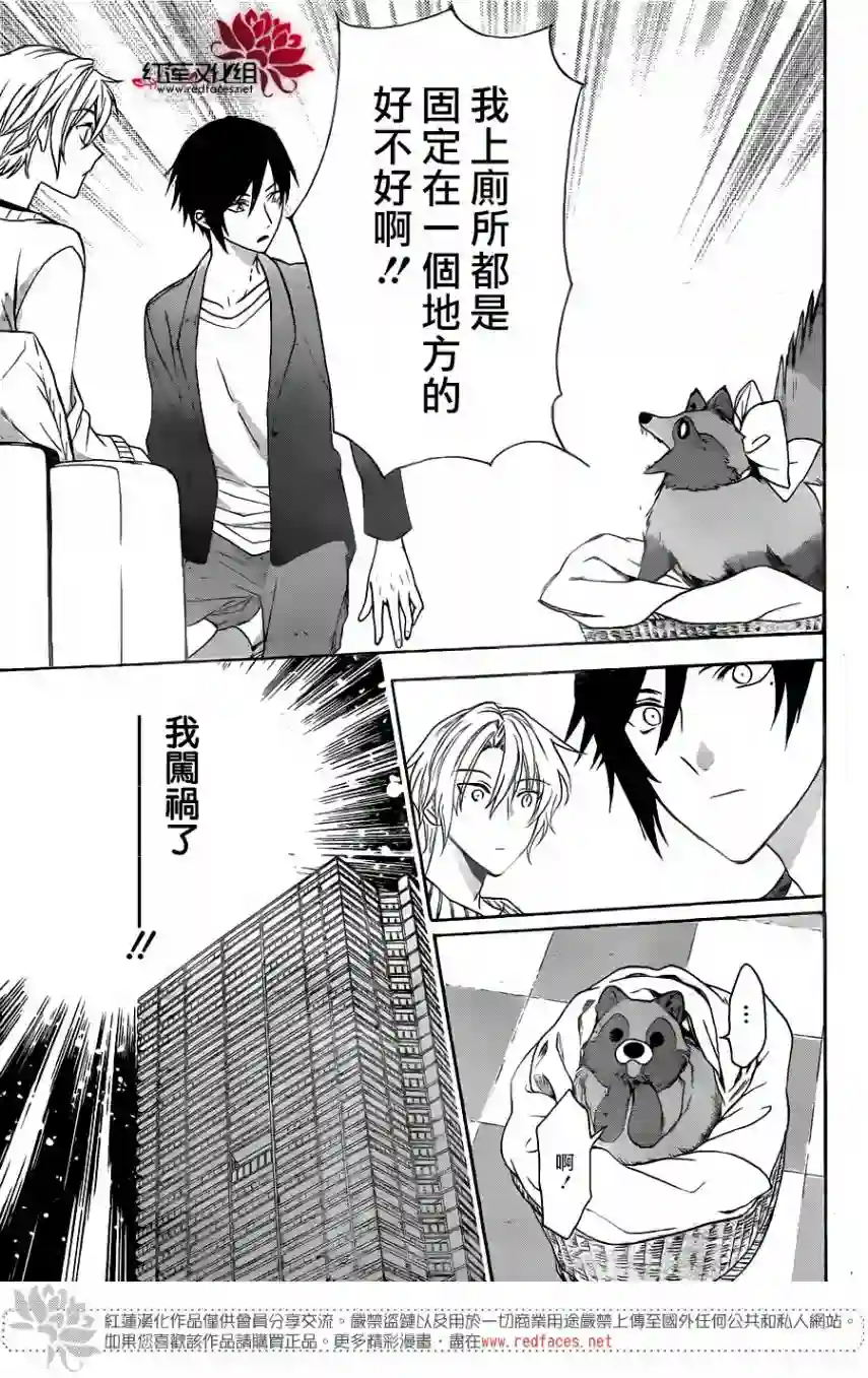 恋爱吧！狸猫第01话