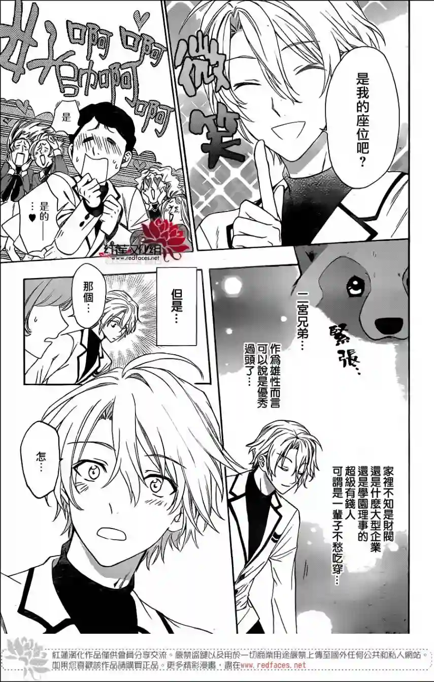 恋爱吧！狸猫第01话