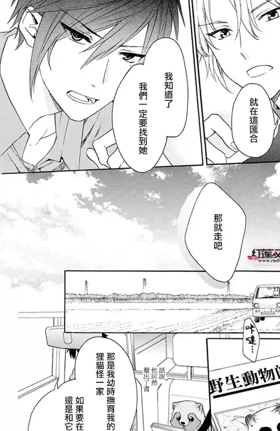 恋爱吧！狸猫第13话