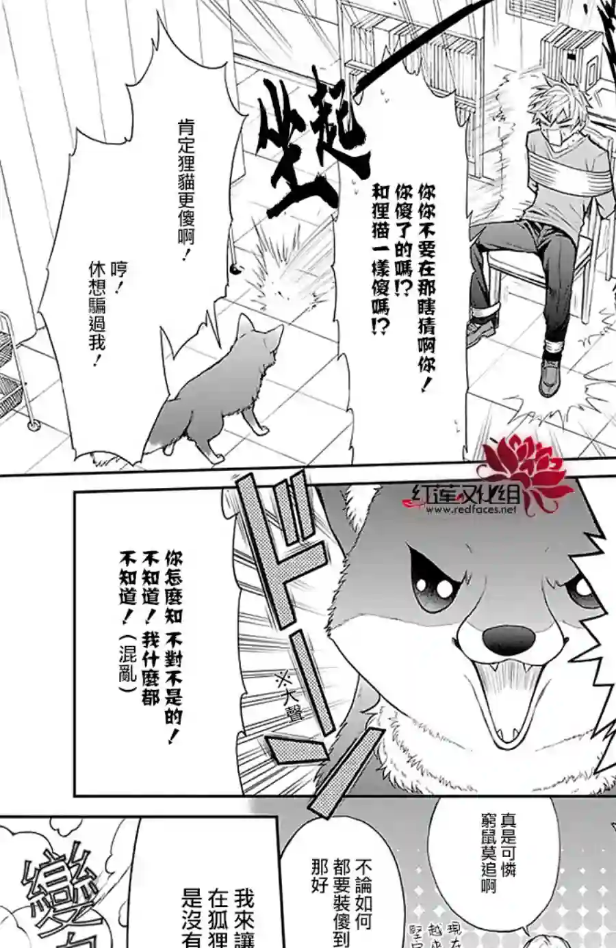 恋爱吧！狸猫第16话