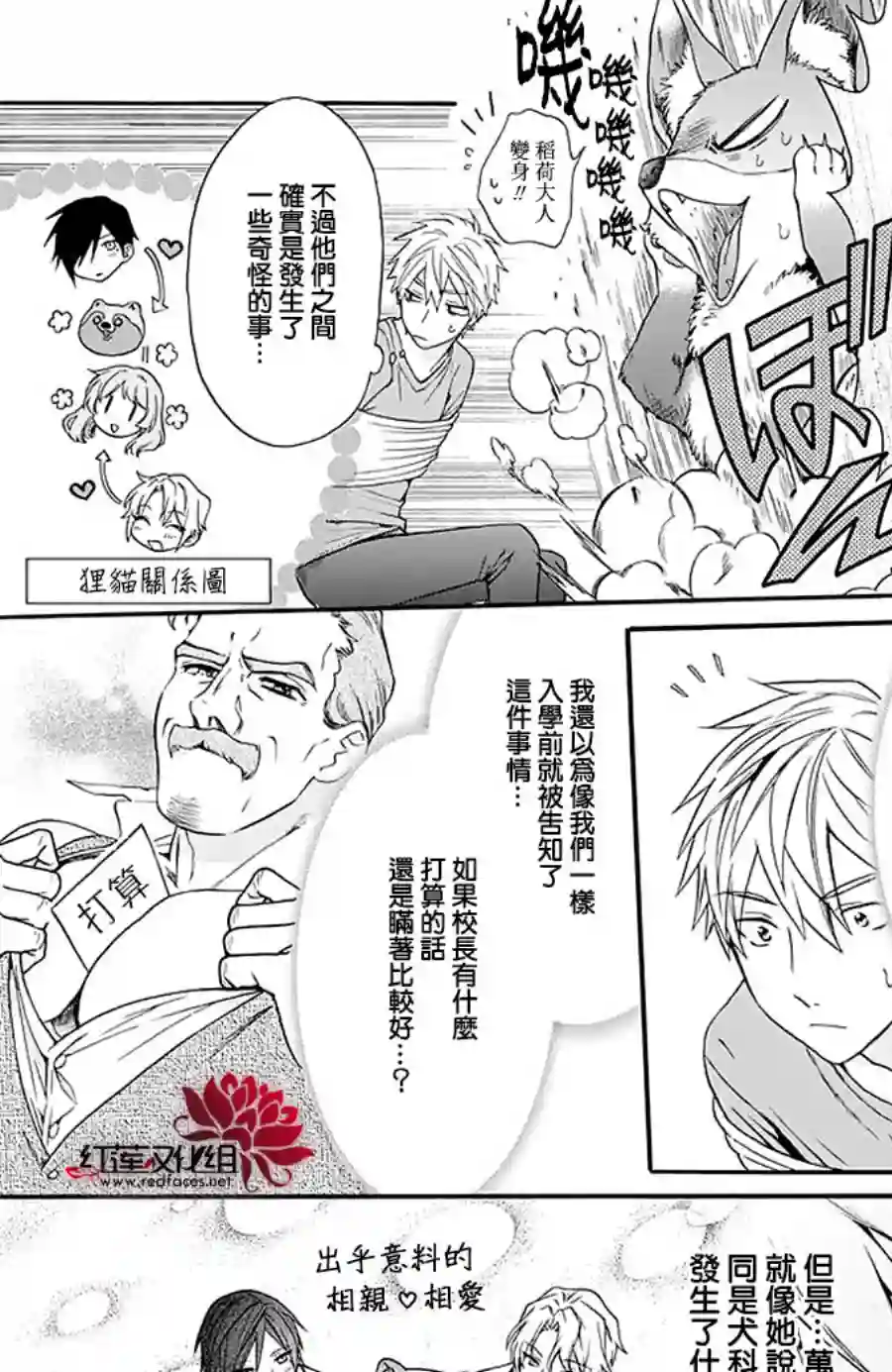 恋爱吧！狸猫第16话