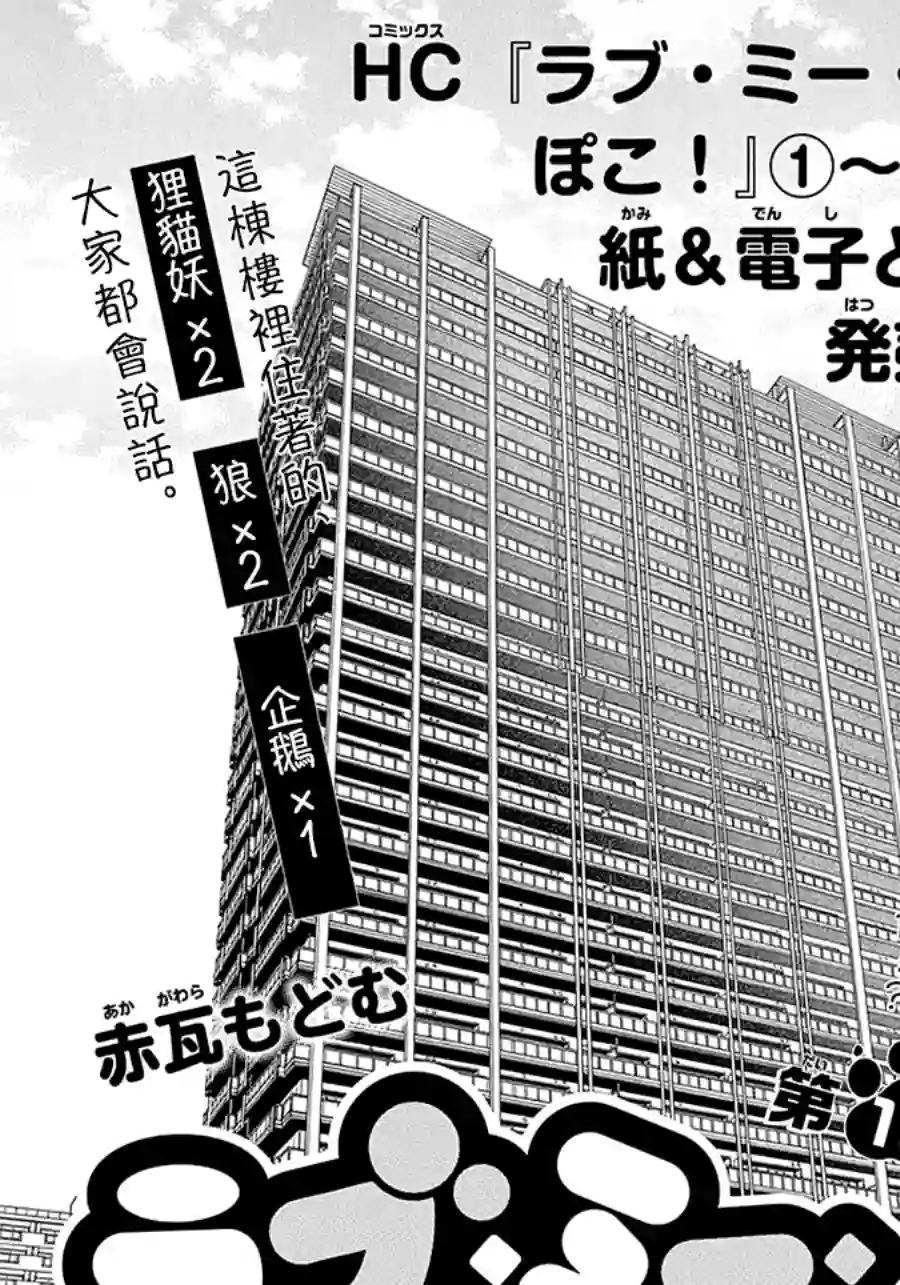 恋爱吧！狸猫第18话