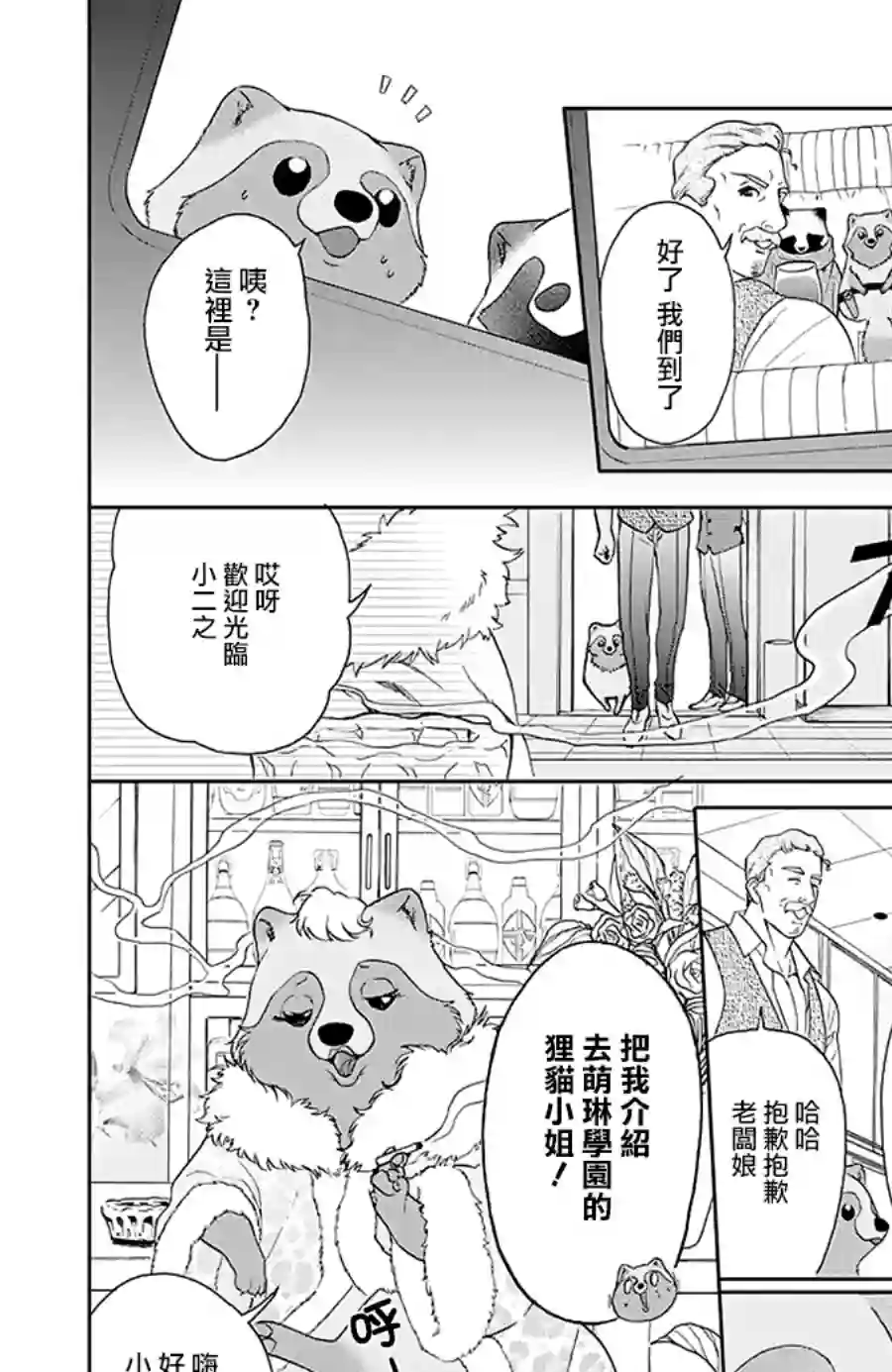 恋爱吧！狸猫第18话