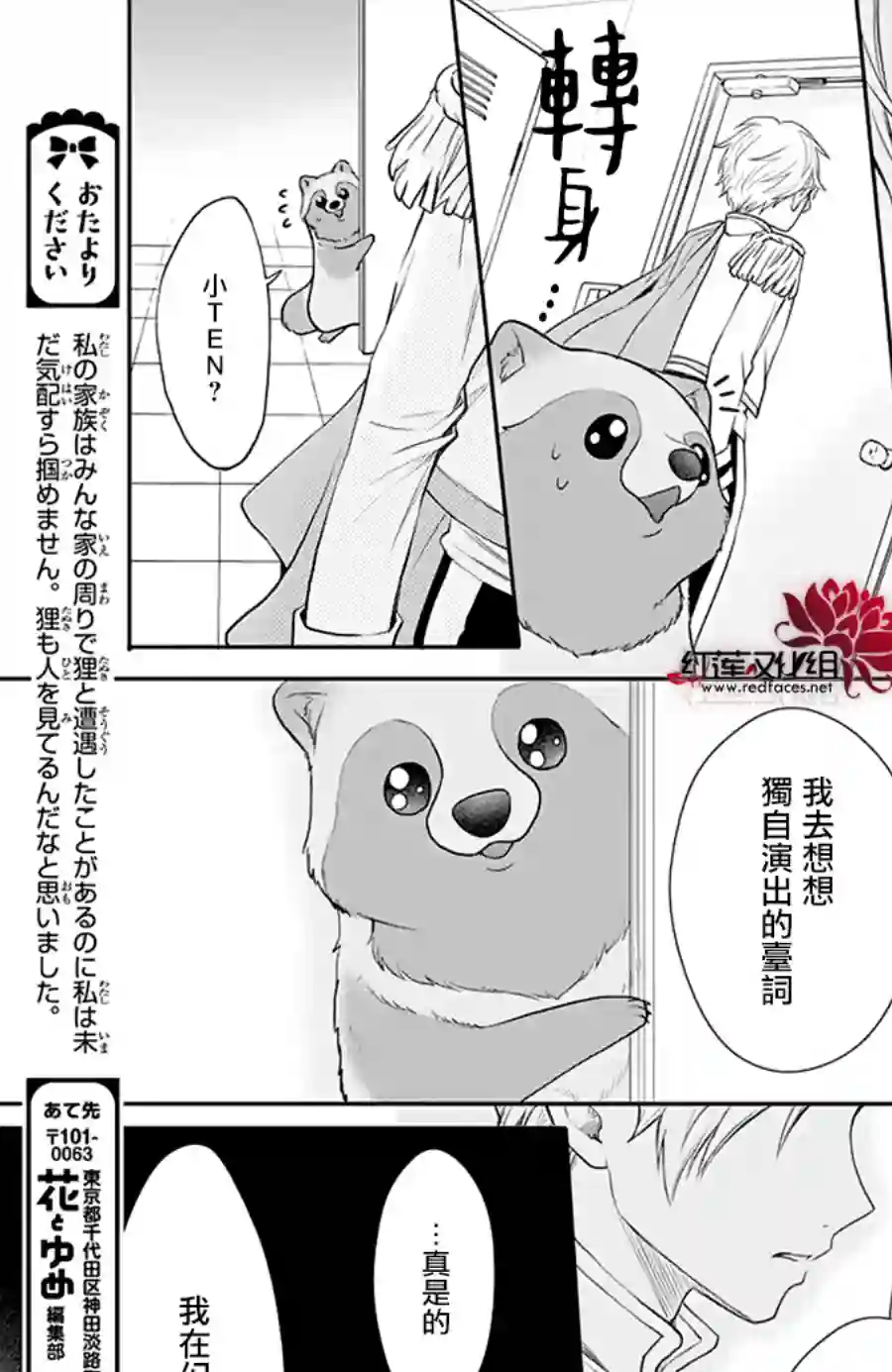 恋爱吧！狸猫第22话