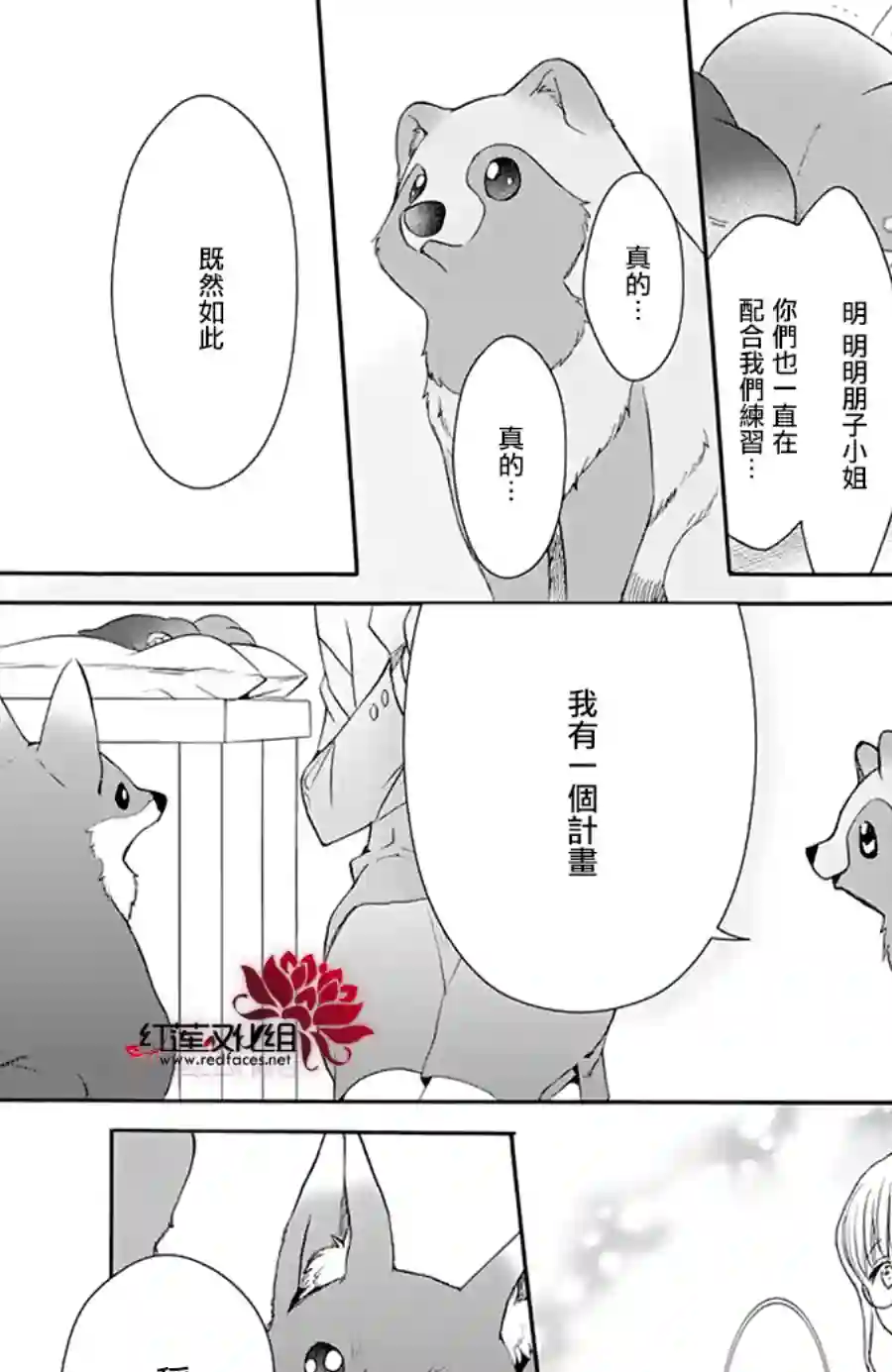 恋爱吧！狸猫第22话