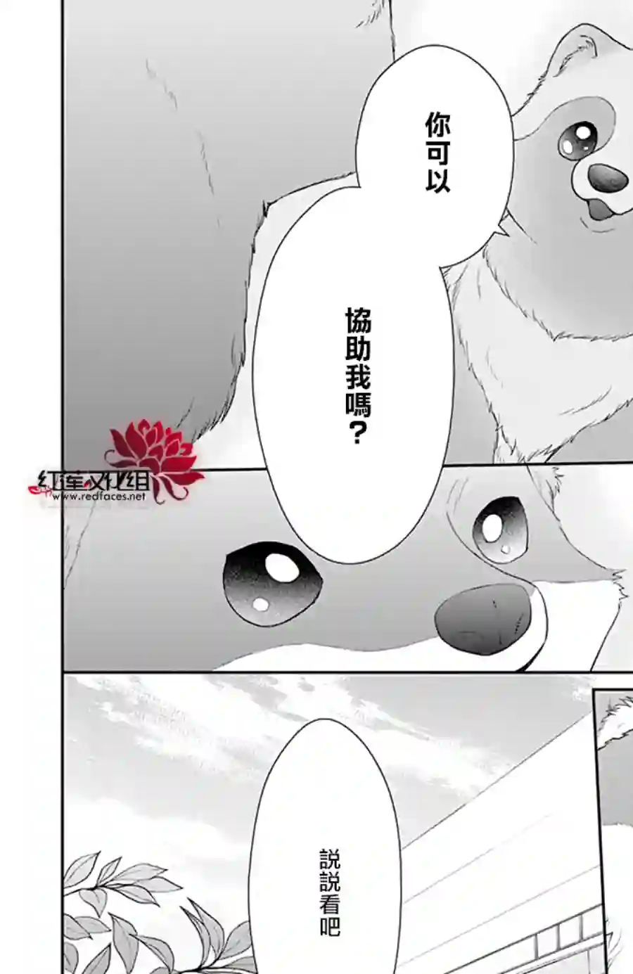 恋爱吧！狸猫第22话